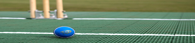Cricket Pitches Cricket Pitches