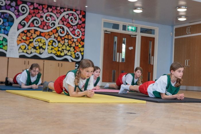 Classic Chipfoam Gym Mats School PE Gym Mats Gymnastic Mats Eveque Eveque