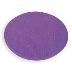 Activate Base Station Circle  Purple