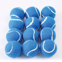 Coloured Tennis Ball  Blue - Set of 12