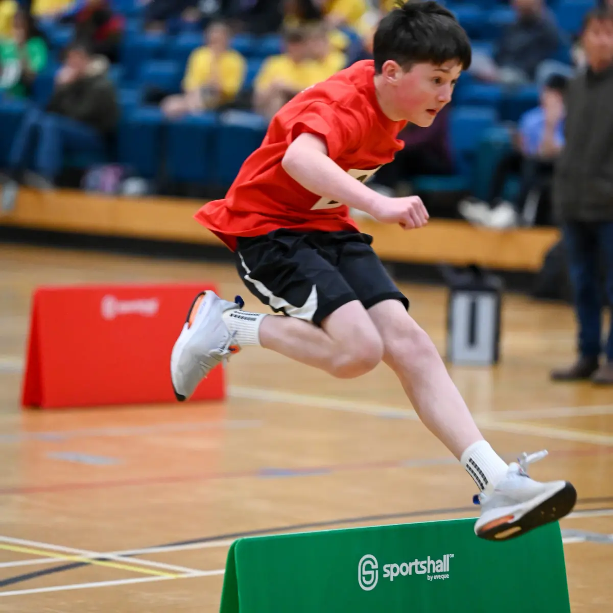 Competition secondary hurdle set 50cm high Competition Secondary Hurdle set 50cm High