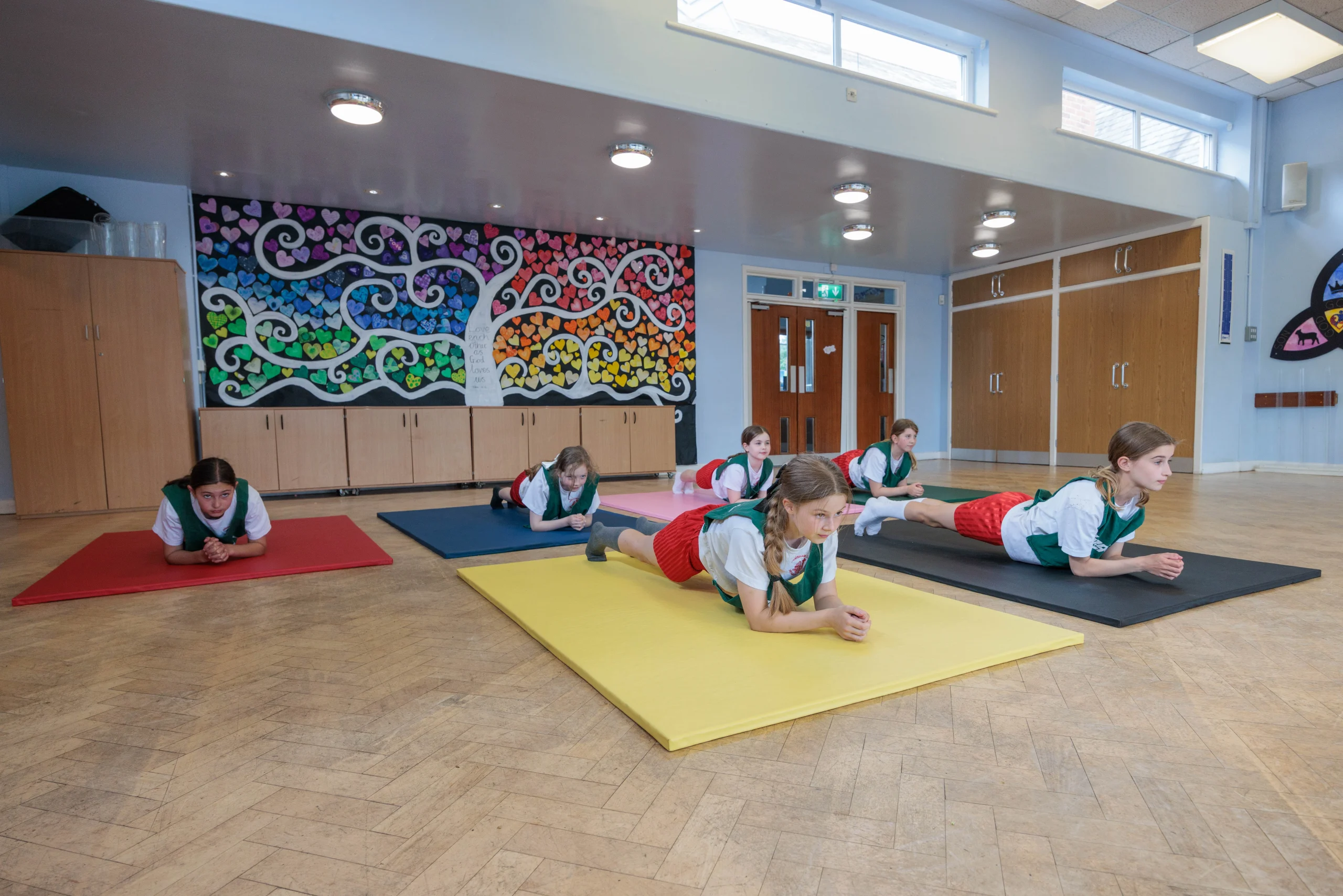 Super-Blended Gym Mat