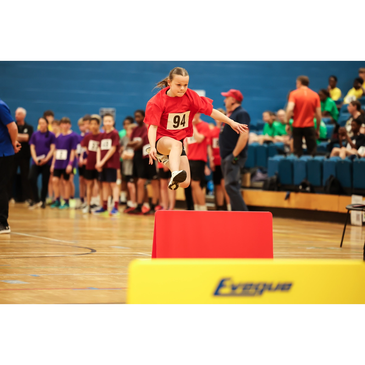 Competition Secondary Hurdle set 50cm High