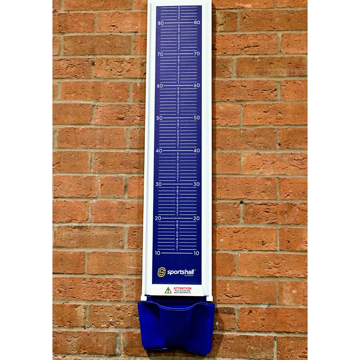 Vertical Jump/Sit and Reach Junior